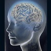 Теоретическая модель синтетического сознания личности. I часть.