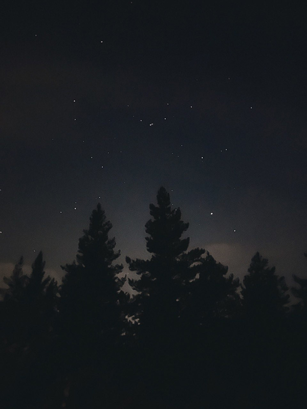 Фото участника творческой группы