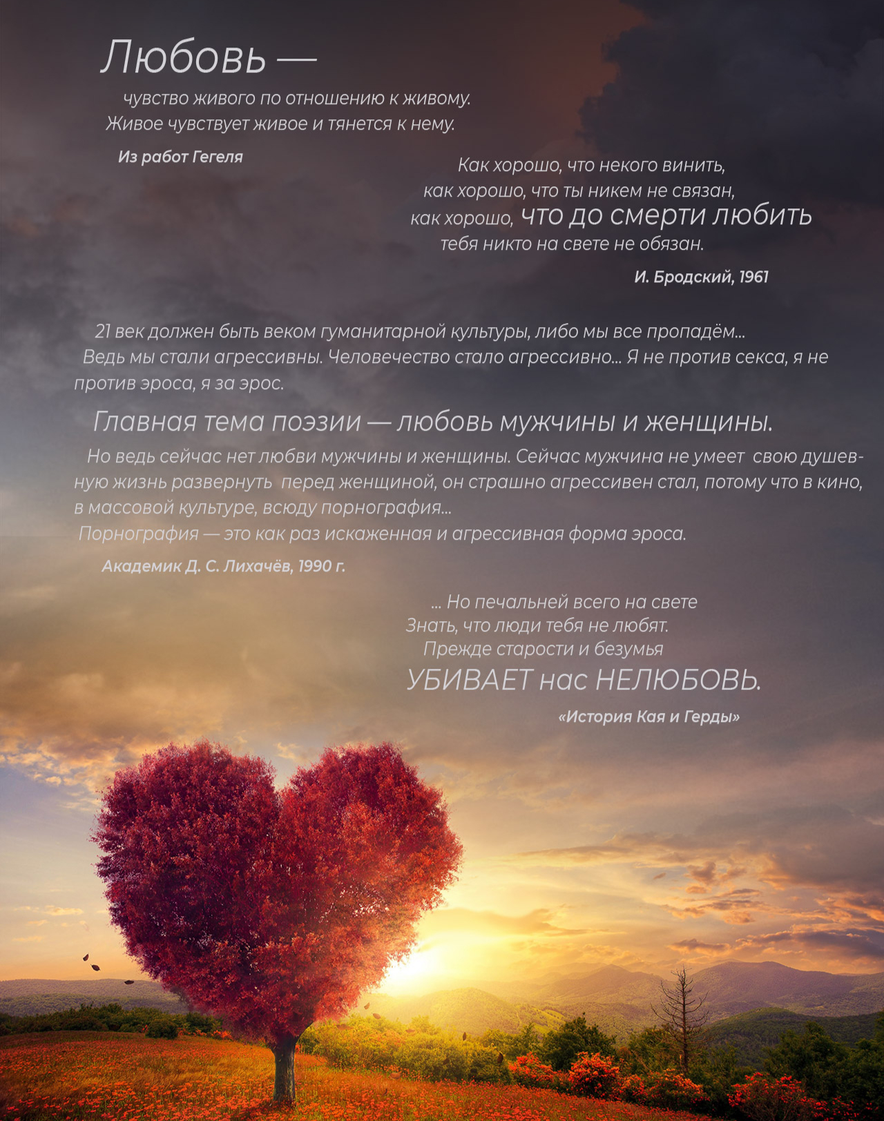 Цитаты