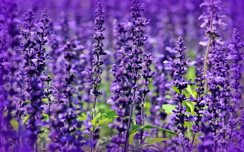 Коллеги, поздравляем с Международным женским днём!