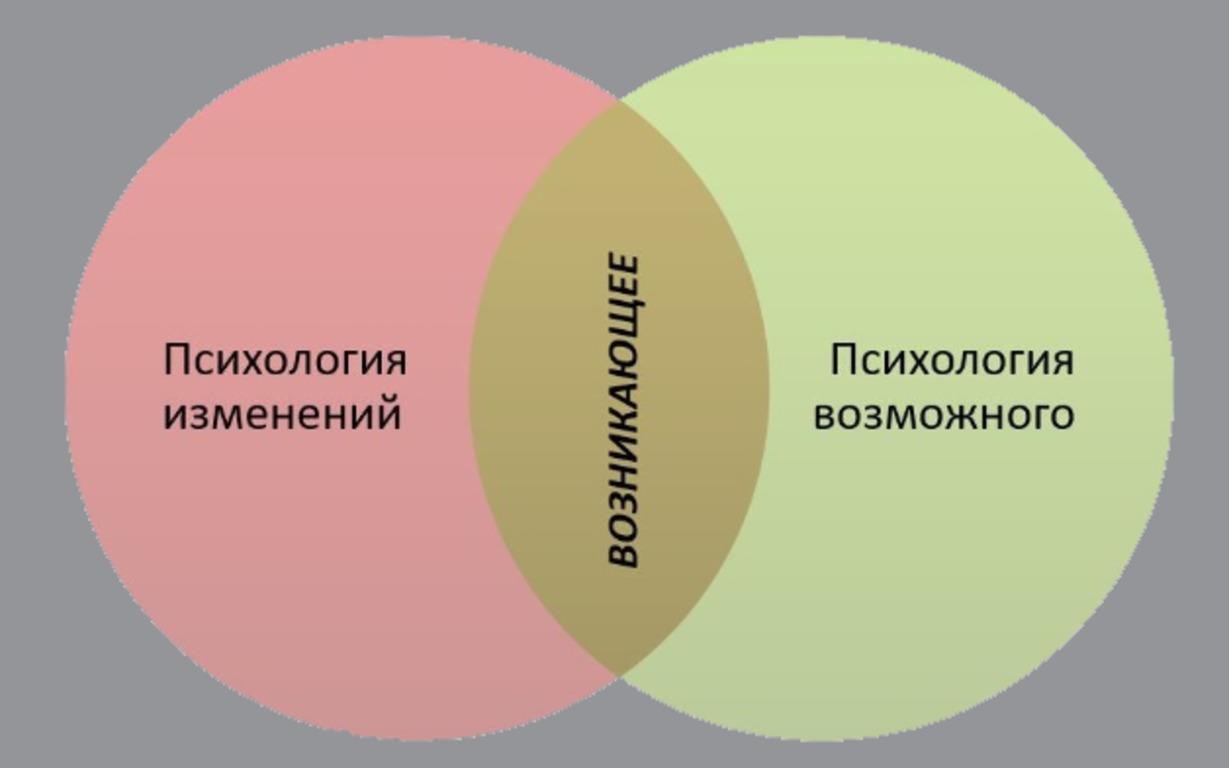 О пространстве возникающего в докладе С.Н. Костроминой и Н.В. Гришиной