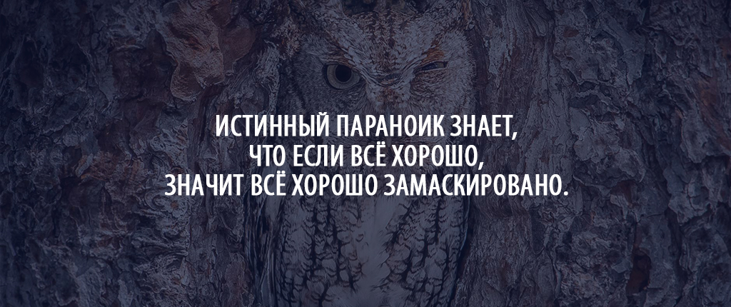 Истинный параноик знает, что если всё хорошо, значит всё хорошо замаскировано