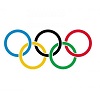 Опрос, посвященный открытию XXII зимних Олимпийских игр в Сочи