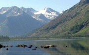 60 лучших педагогов Алтая получат денежную премию