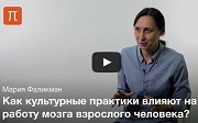 Культурная нейронаука