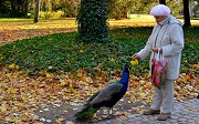 Московских пенсионеров научат «гимнастике мозга»