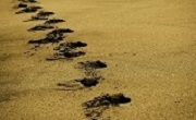 О роли вытеснения при определении цели клиента в психокоррекции