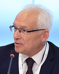 Розанов Всеволод Анатольевич