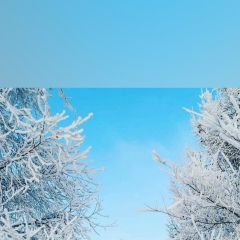 Татьяна  Зубова